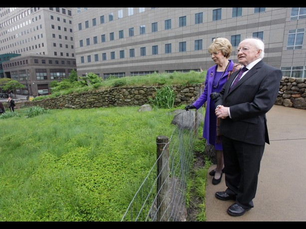 Michael D and Sabina securing the Mayo/Galway border from the Milltown side